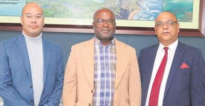 New Knysna councillors