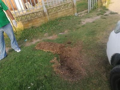 2 mans in hegtenis ná honde se wrede dood