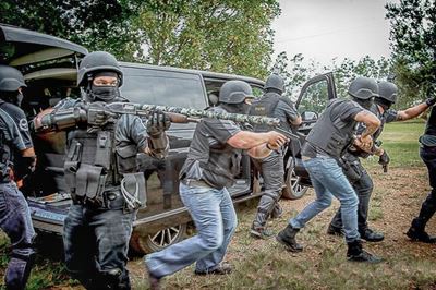Farm attack (well sort of)