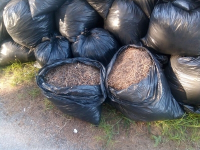 Geen tuinvullis in swartsakke nie