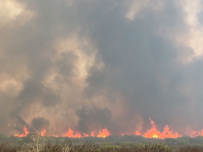 Opvolg: Brand buite Stilbaai