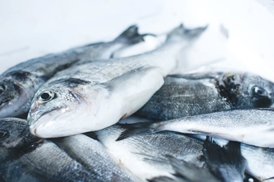 Mercury in Fish: How did it get there?