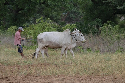 Water infrastructure upgrades bring much-needed relief to farming communities