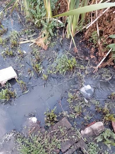 Mother's sewage agony
