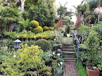 Craving for fresh air draws the crowds