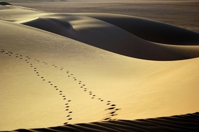 Creating Hope, Leaving Footprints