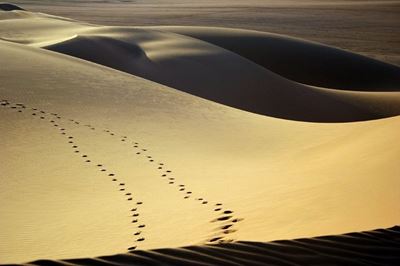 Creating Hope, Leaving Footprints
