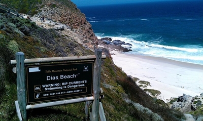 Update: 11 rescued at Dias Beach