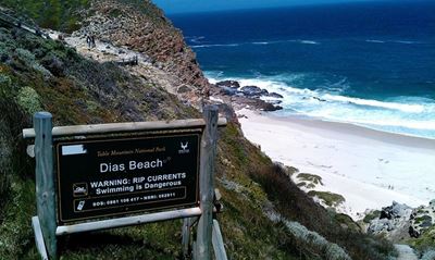Update: 11 rescued at Dias Beach