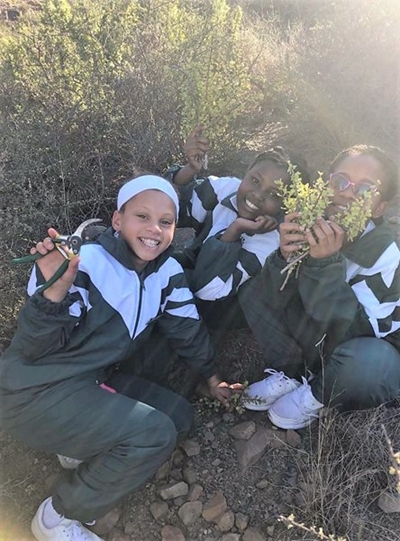 Learners help SANParks fight air pollution 