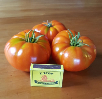 Tomato talk with Harry Hill