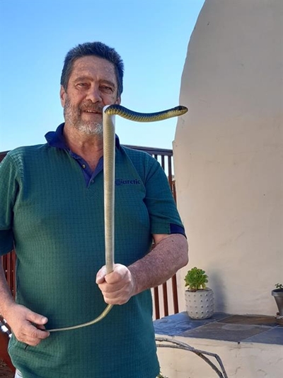 'Snakes are still around in winter'