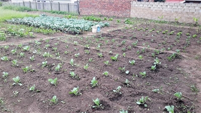 Samaritans help community to help itself