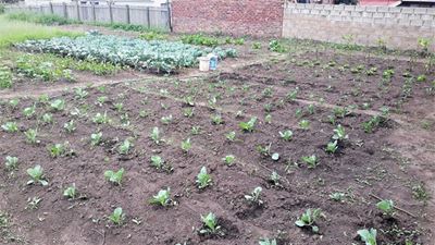 Samaritans help community to help itself