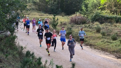 A sea of enjoyment for nearly 8 000 Knysna Forest Marathon runners