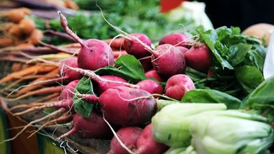 Five easy vegetables to grow in your garden