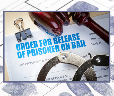 9 arrested for alleged multimillion-rand tender fraud in Eastern Cape granted bail