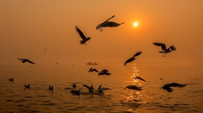 George Camera Club June winners impress