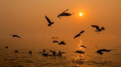 George Camera Club June winners impress