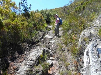 Off-road bikers destroy Cradock Pass