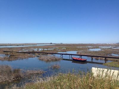 CapeNature celebrates World Wetlands Day