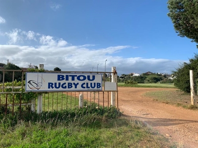 Plett to screen drive-in for charity