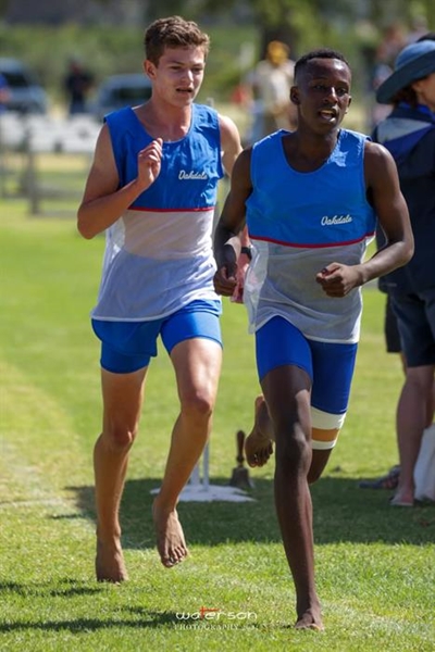 Driekuns by Hoër Landbouskool Oakdale