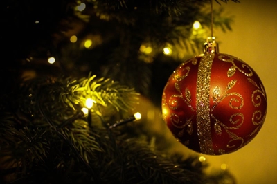 Alone? Don’t be lonely this festive season