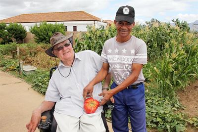 Een tamatie genoeg vir 'n bak slaai