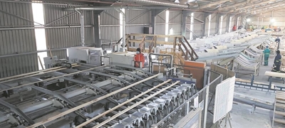 Cape Forest Products creates a sustainable timber future