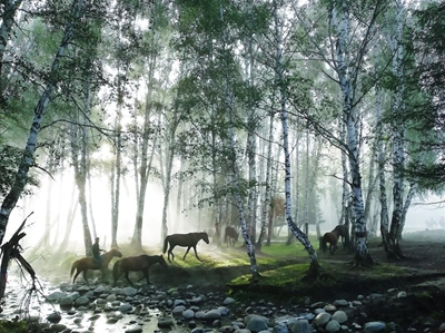 SA National Parks Week postponed