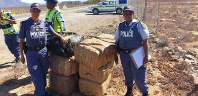 Willowmore police make dagga less