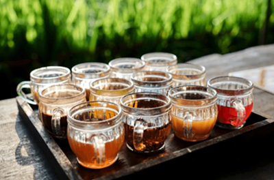 Rooibos to set SA apart in booming wellness travel sector