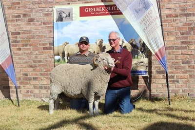 Goeie belangstelling in Geelbek Elite ramme