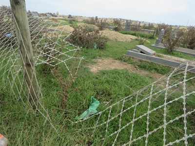 Cows grazing on top of the dead
