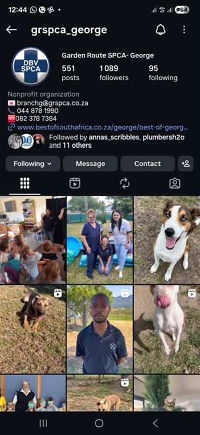 Social dilemma: SPCA Facebook pages suspended