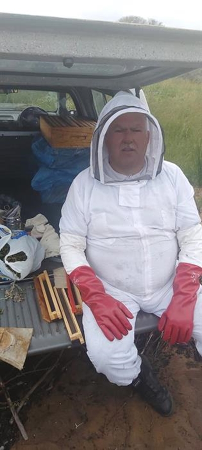 Die hardwerkendste insek van nader beskou