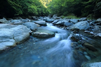 Clear Rivers campaign goes online