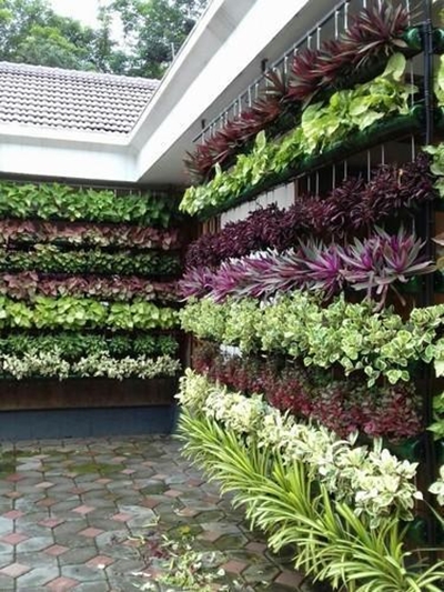 No space for a traditional garden - go vertical
