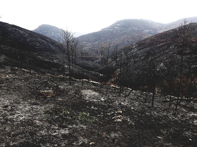 Garden Route fires update
