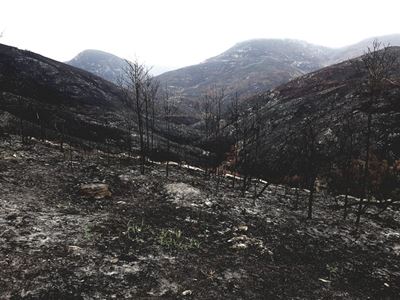 Garden Route fires update