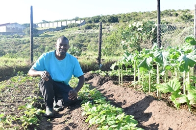 The story of my garden: Farai's venture into agricultural sustainability 