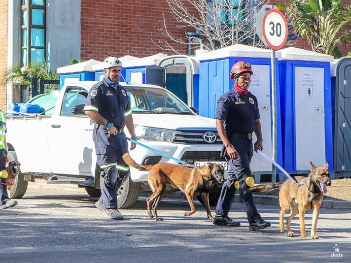 Sniffer dogs crucial in rescue efforts