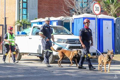 Sniffer dogs crucial in rescue efforts
