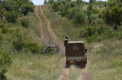No sign yet of missing KNP ranger