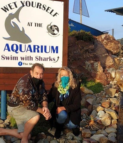Help the Shark Lab keep head above water