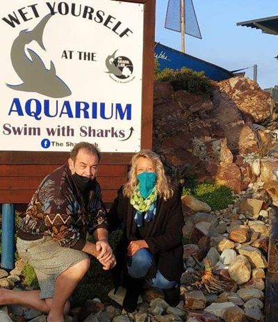 Help the Shark Lab keep head above water