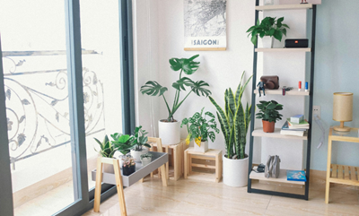Style the empty corners in your home