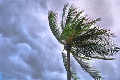 Cape Town suffers widespread damage from severe winds