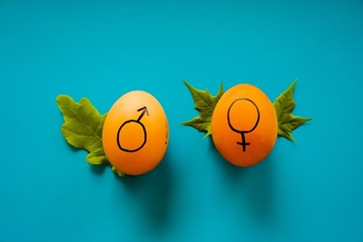 Sex Education in South Africa—What You Need to Know